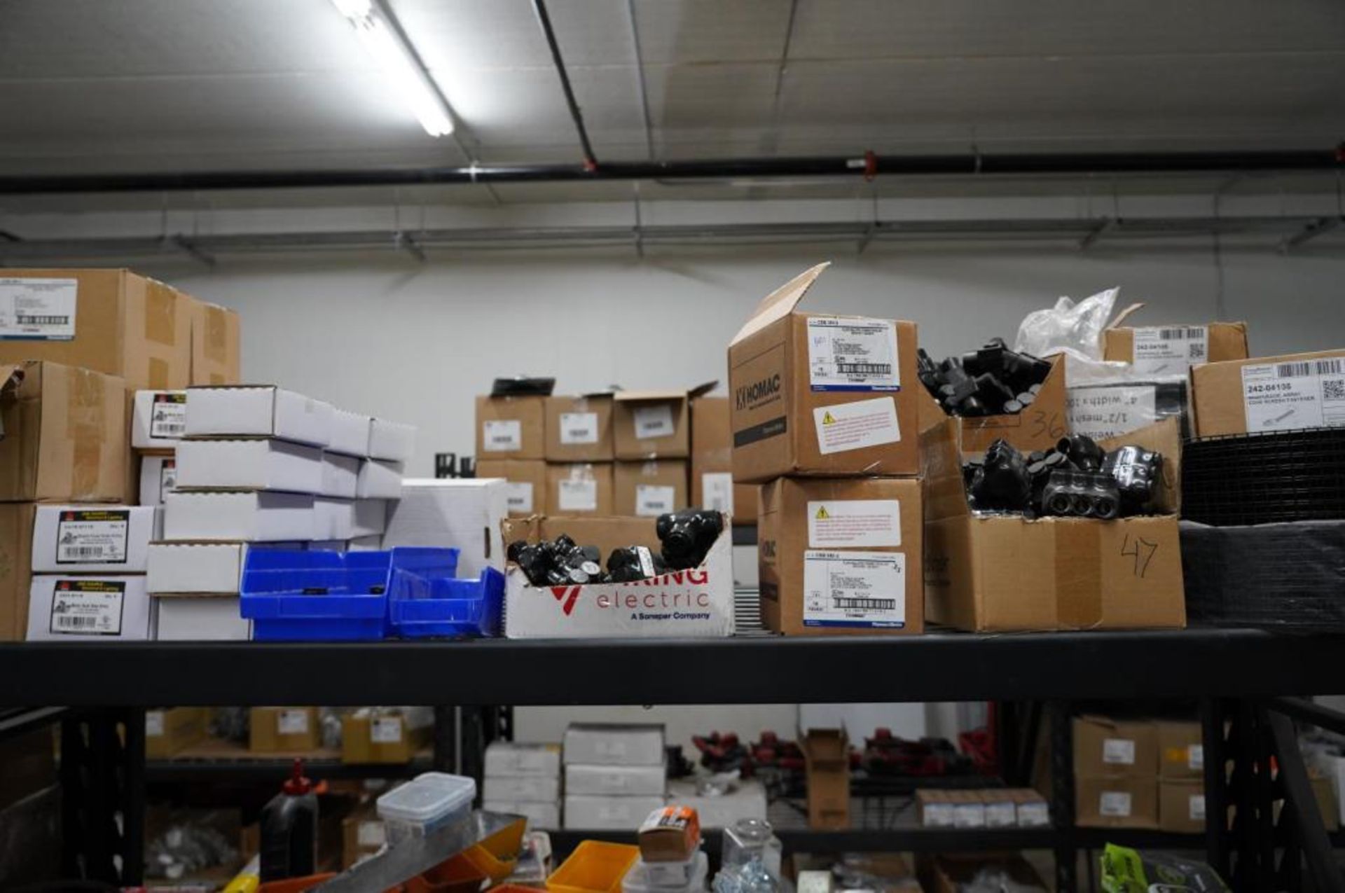 Balance of Contents on Shelving Units - Image 38 of 80