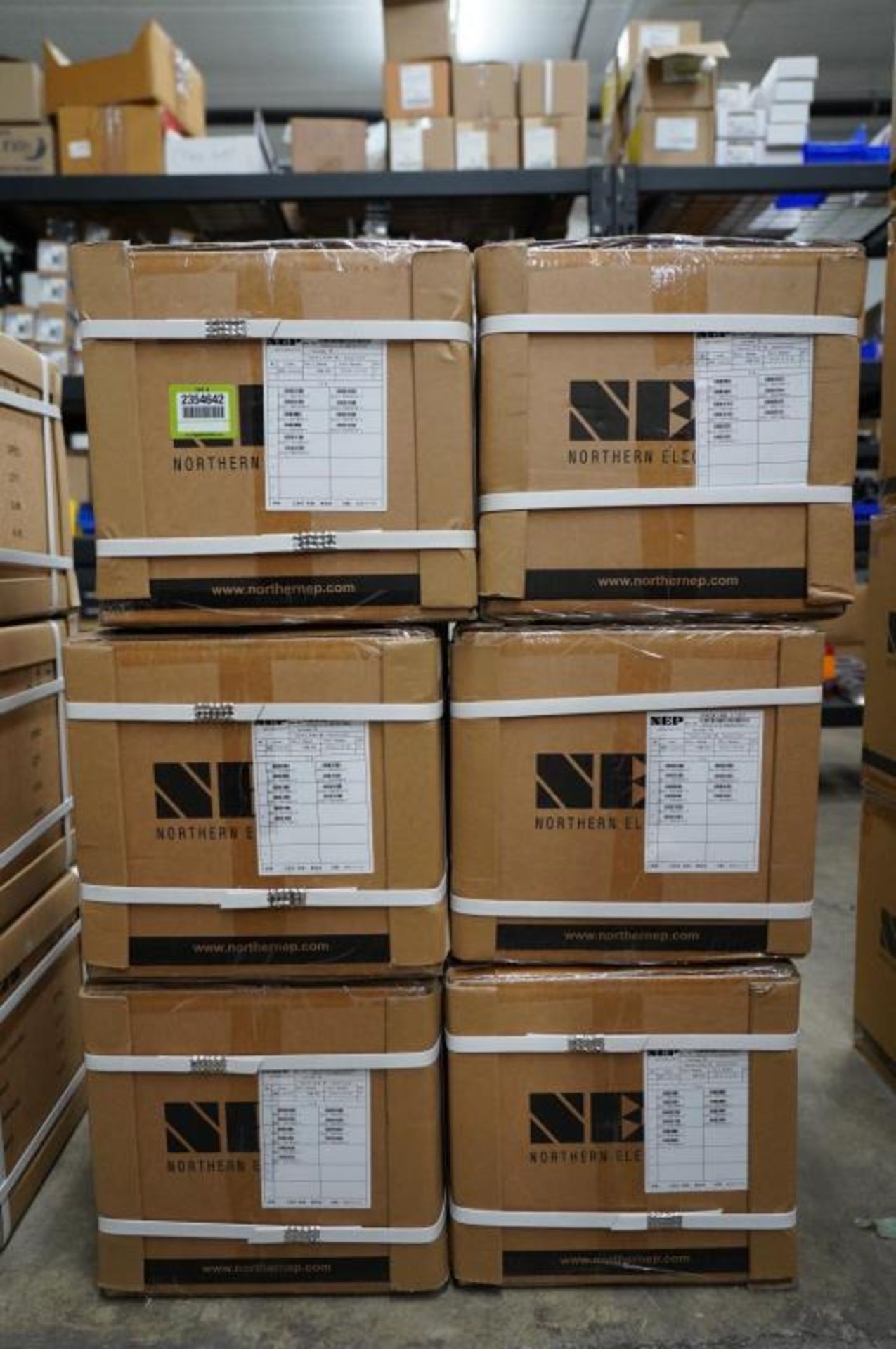 NEP BDM Inverters