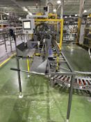 Wayne Automation Case Packer