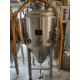 3.5BBL Conical Fermenter - Image 6 of 9