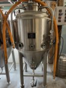 3.5BBL Conical Fermenter