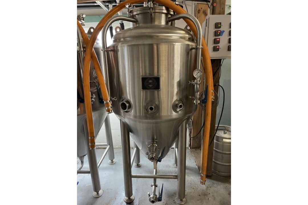 3.5BBL Conical Fermenter - Image 1 of 9