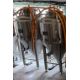 3.5BBL Conical Fermenter - Image 7 of 9