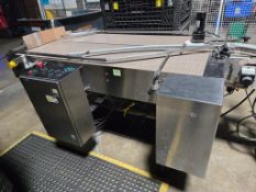 NJM CLI SS Accumulating Table Conveyor