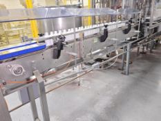Stainless Steel Conveyor