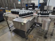 NJM CLI SS Accumulating Table Conveyor