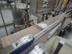 Stainless Steel Conveyor