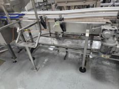 Stainless Steel Conveyor