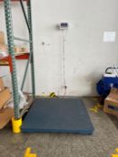 Inscale Floor Scale