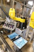 Fanuc Automated Dispensing Robot System