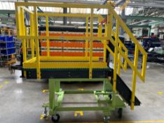 Portable Platform Ladder