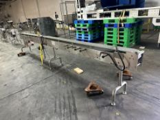 Pharma Pak 15 Ft. Conveyor