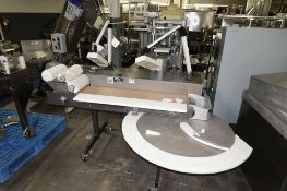 Lasko Tablet Inspection Belt Conveyor