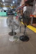 Assorted Pedestal Fans