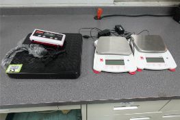 (3) Scales