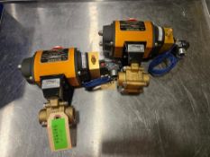 FlowServe Pneumatic Actuators