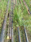 LOT OF APPROXIMATELY (268) MTS OF CARBON STEEL PIPE