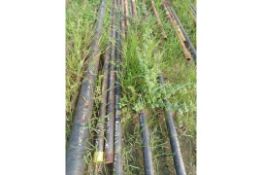 LOT OF APPROXIMATELY (268) MTS OF CARBON STEEL PIPE