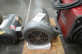 Electric Motor