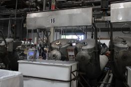 2002 Asian Kingdom Dye Machine, Model AK-SL-500 2 Tube, SER# N/A