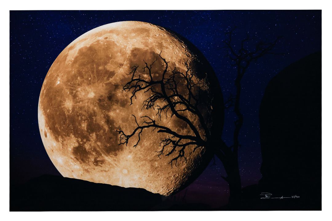 PETER LIK (AUSTRALIAN, B. 1959) - 'BELLA LUNA' - Image 1 of 3