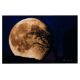 PETER LIK (AUSTRALIAN, B. 1959) - 'BELLA LUNA' - Image 1 of 3