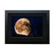 PETER LIK (AUSTRALIAN, B. 1959) - 'BELLA LUNA' - Image 2 of 3
