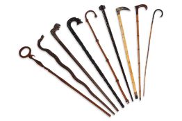 A GROUP OF NINE WALKING STICKS