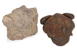 A CARVED STONE CALF HEAD AND A POTTERY TOAD MOUNT