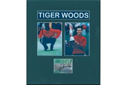 Tiger Woods