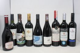 Ten Assorted Red Wines to include Bolyki 2016 Hungarian Bull's Blood Dry, Trasantier 2020, 2 x Auco