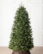 Balsam Hill Fraser Fir Narrow Artificial Christmas Tree. Item May Be Incomplete, Viewing is advised.