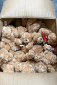 A box of Keen Plush teddies (47 toys).