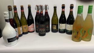 Sixteen assorted Red/White Sparkling Wines to include Lambrusco Dell Emilia, Kellermeister Gluhwein
