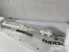 Aventics – R480141460 – Rodless cylinder, Series RTC-BV (RTC-DA-025-0700-BV-MM00S00BLP000P0P0).