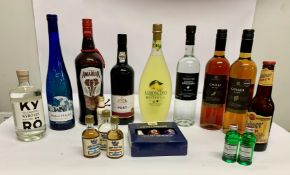 Nine assorted Alcoholic Beverages to include Chilli/Ginger Mead, Limoncino Bottega 500ml, Amarula Et