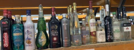 Seventeen assorted Liqueurs/Spirits to include Dublin Irish Pointin, Tatratea, Zedda Piras, StoopWaf