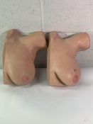 Two Medical Breast Examination Simulators (One with a Breast Lump Indicated by a Green Sticker and O