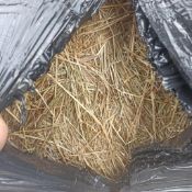 2023 180No. Bales Rye Grass Haylage (54T) - (Wiltshire)