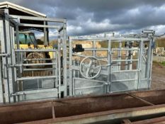 IAE Cattle Crush (Essex)