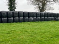 2023 50No. Haylage Bales - (Norfolk)