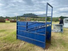 Cattle handling race equipment