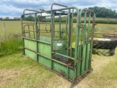 Tubar cattle crush NO VAT