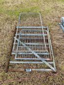 1 Pedestrian gate and metal guards