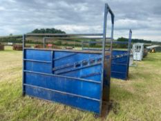 Cattle handling race equipment