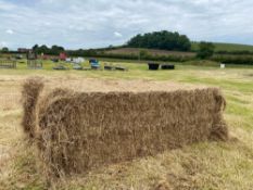 34 quadrant hay bales - sold per bale