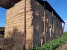 2023 Barley Straw Bales - (Norfolk)