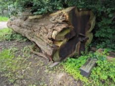 Round Timber Species Sequoia California Redwood - (Norfolk)