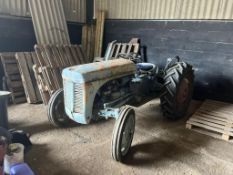 Grey Ferguson - (Norfolk)