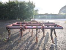 Massey Ferguson Cultivator - (Shropshire)
